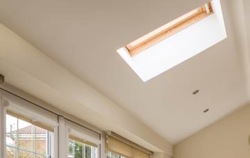 Neen Savage conservatory roof insulation companies